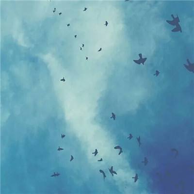 快3官网手机版下载