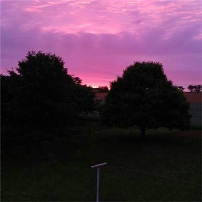 开云注册·官方网站