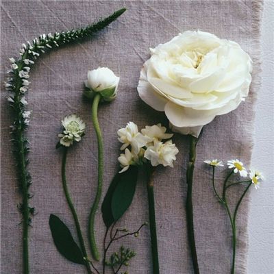 幸运快3在线计划网站